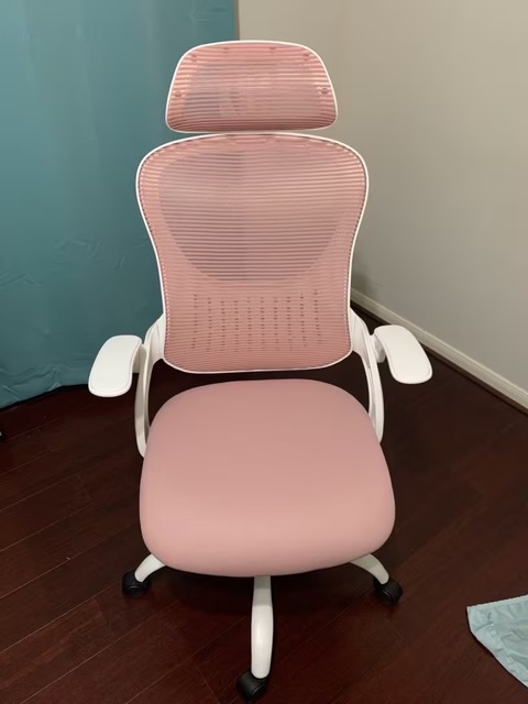 Ergonomic Mesh Office Chair